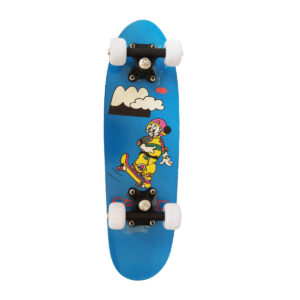 Mini Skateboards